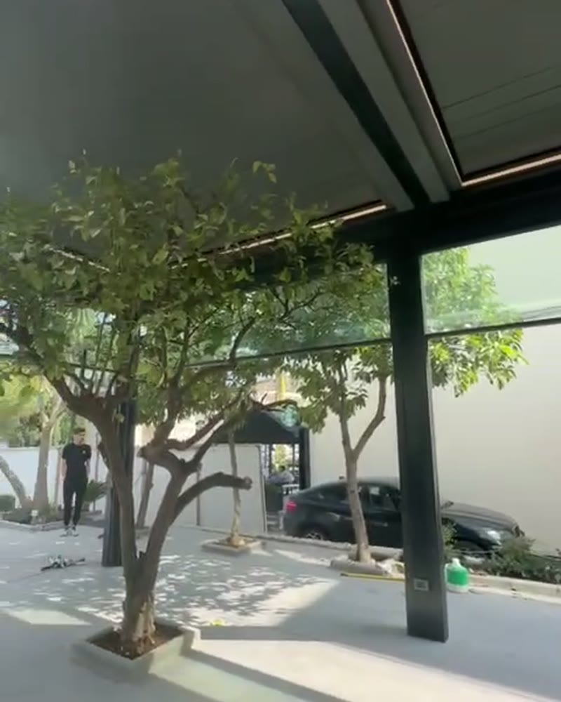 Louvered pergola built around a tree on a paved courtyard